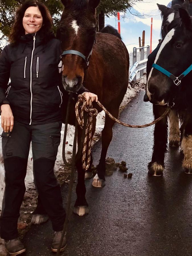 לינה וארוחת בוקר שאטו-דו Au Pre Des Chevaux מראה חיצוני תמונה