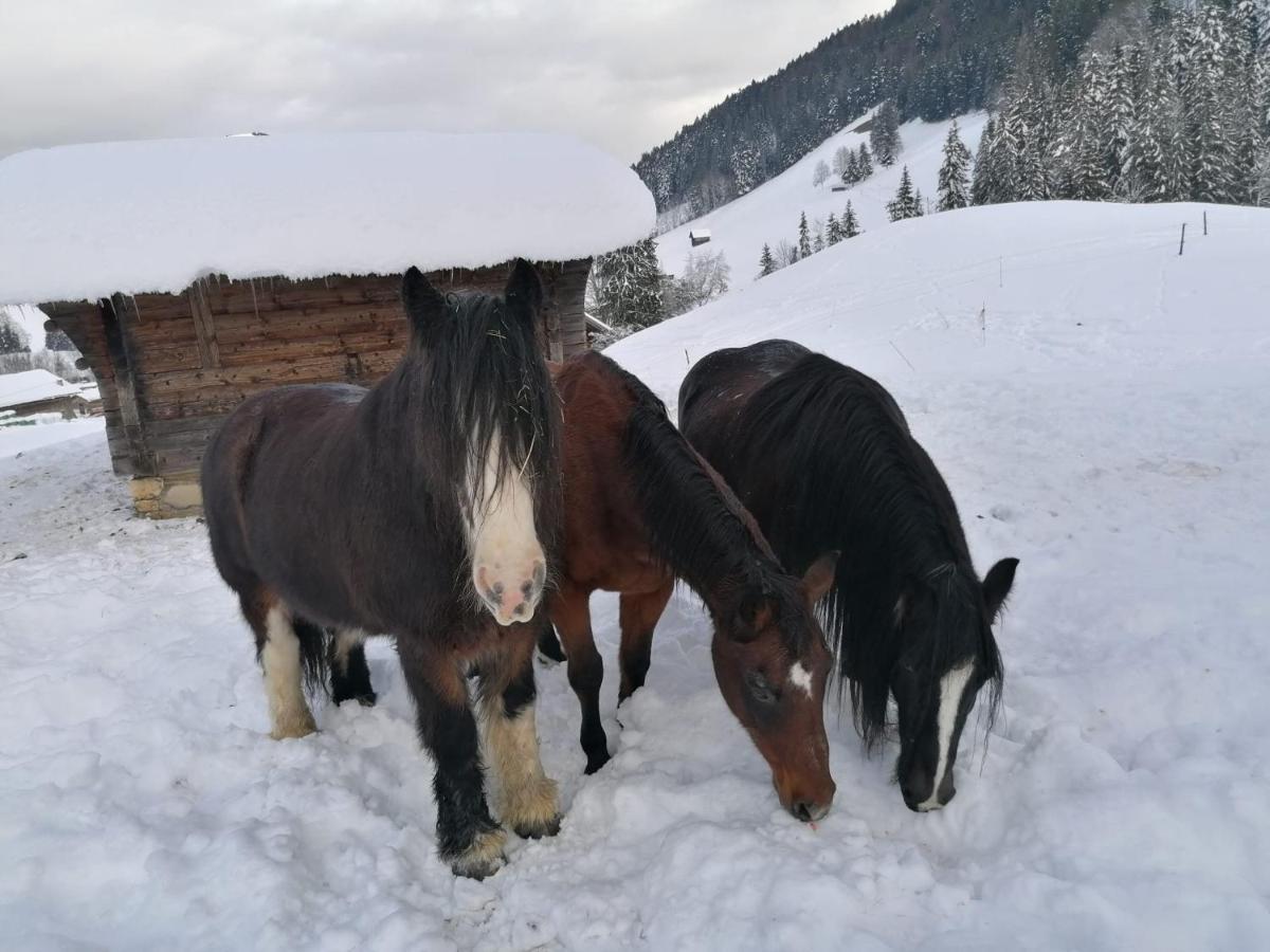 לינה וארוחת בוקר שאטו-דו Au Pre Des Chevaux מראה חיצוני תמונה